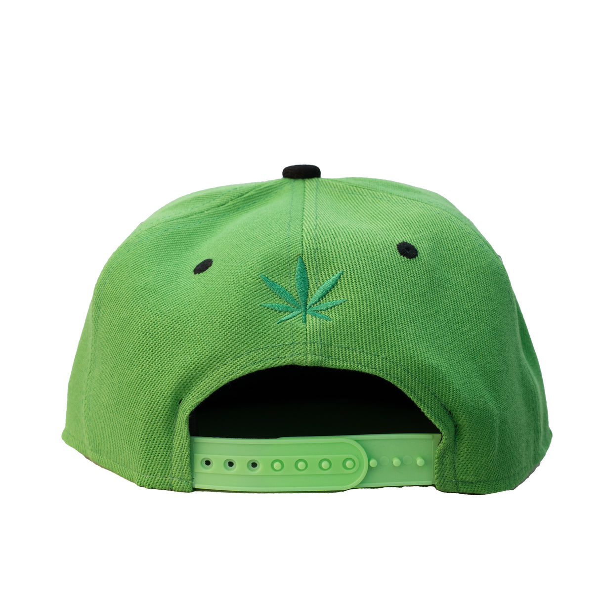 CHEECH & CHONG SNAPBACK (GREEN)