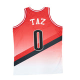 TAZ BASKETBALL JERSEY