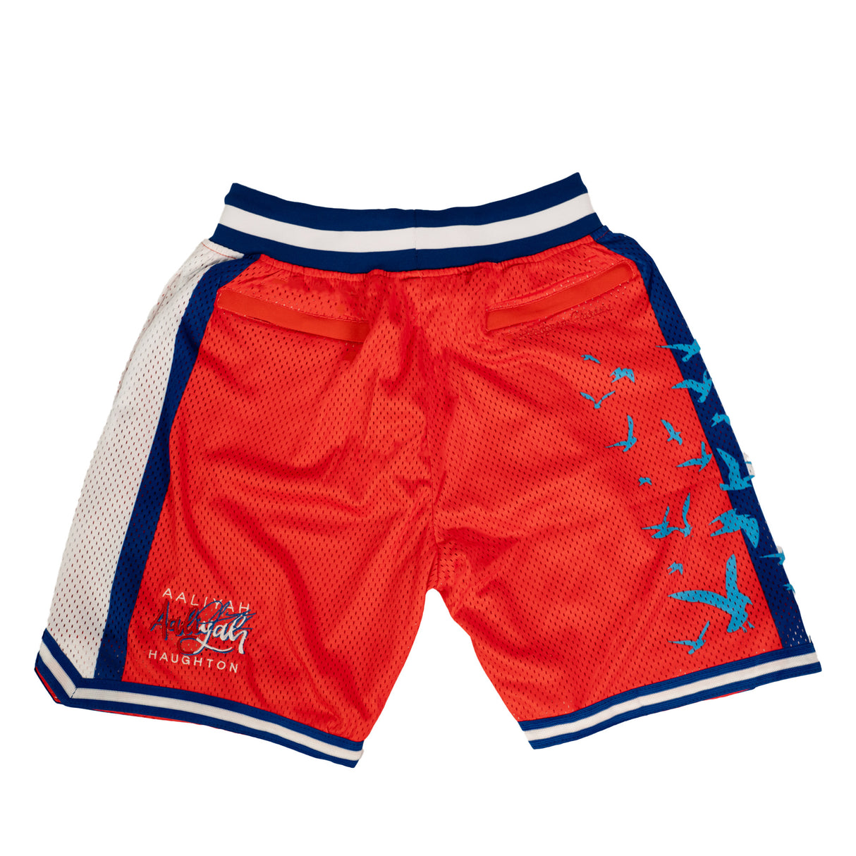 YOUTH AALIYAH MTV SHORTS (RED)