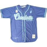 CHARLOTTE JERSEY V2 (BLUE)