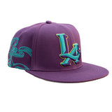 MAMBA REFLECTION SNAPBACK HAT