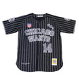 CHICAGO CUBS STRIPED BASEBALL JERSEY - Allstarelite.com