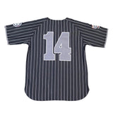 CHICAGO CUBS STRIPED BASEBALL JERSEY - Allstarelite.com