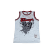 JORDAN CHICAGO CEMENT BASKETBALL JERSEY - Allstarelite.com