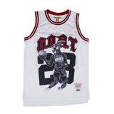 JORDAN CONCORD BASKETBALL JERSEY - Allstarelite.com