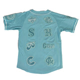 NERGO LEAGUE VERTICAL COLLAGE BUTTOM DOWN BASEBALL JERSEY - Allstarelite.com