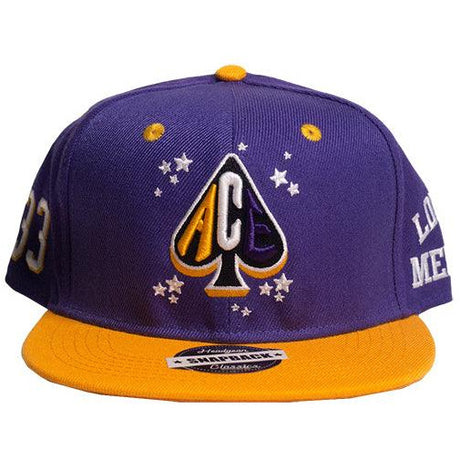 PURPLE/ GOLD LOWER MERION SNAPBACK - Allstarelite.com