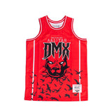 AALIYAH X DMX BASKETBALL JERSEY - Allstarelite.com