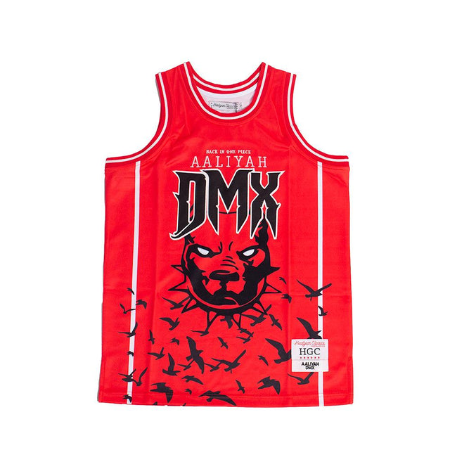 AALIYAH X DMX BASKETBALL JERSEY - Allstarelite.com