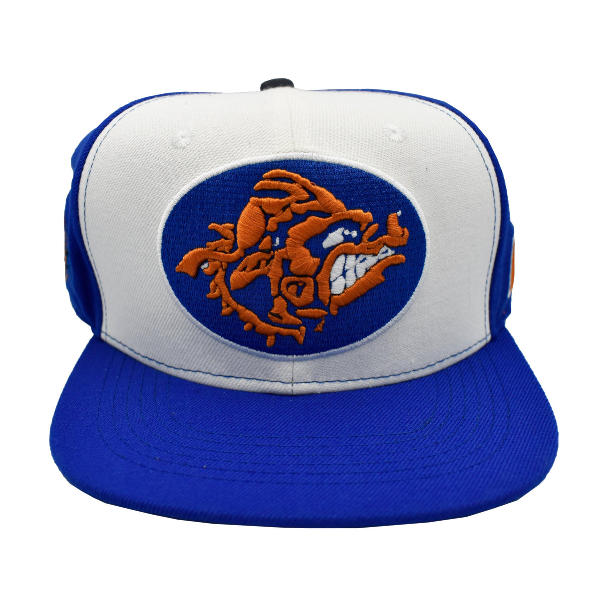 BLUE/WHAT WATER BOY SNAPBACK - Allstarelite.com