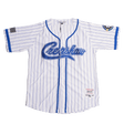 CRENSHAW PINSTRIPE BASEBALL JERSEY WHITE/BLUE - Allstarelite.com