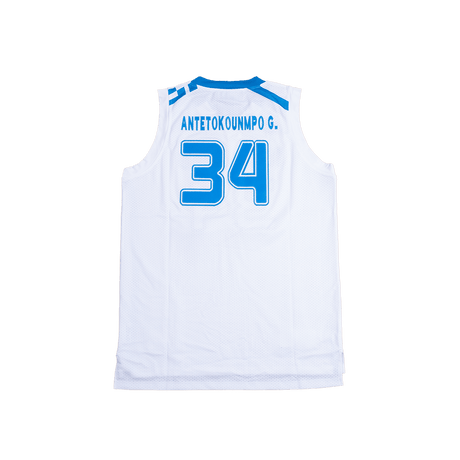 GIANNIS HELLAS TEAM GREECE BASKETBALL JERSEY - Allstarelite.com