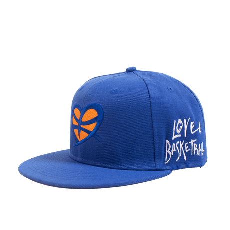 LOVE AND BASKETBALL FITTED BLUE - Allstarelite.com