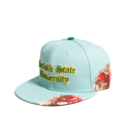 NORFOLK STATE UNIVERSITY FRAYED FITTED HAT - Allstarelite.com