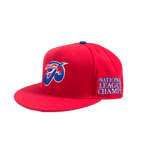 PHILADELPHIA STARS LEAGUE CHAMPS FITTED HAT - Allstarelite.com