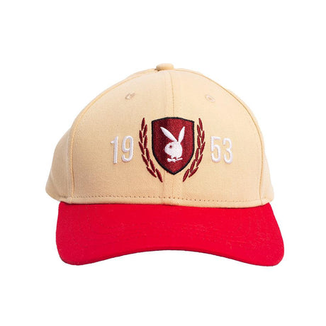 PLAY FOR ALL DAD HAT - Allstarelite.com