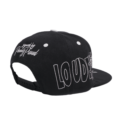 THE PROUD FAMILY LOUDER AND PROUDER SNAPBACK - Allstarelite.com