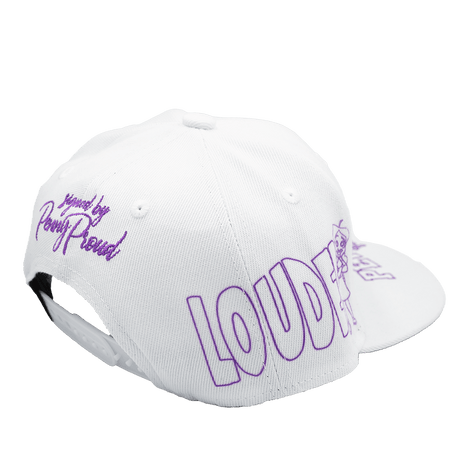 THE PROUD FAMILY LOUDER AND PROUDER YOUTH SNAPBACK - Allstarelite.com