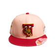 TUSKEGEE UNIVERSITY FRAYED FITTED HAT - Allstarelite.com